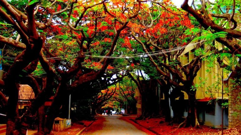 IISc Bengaluru ranks 254th in THE World University Rankings 2027