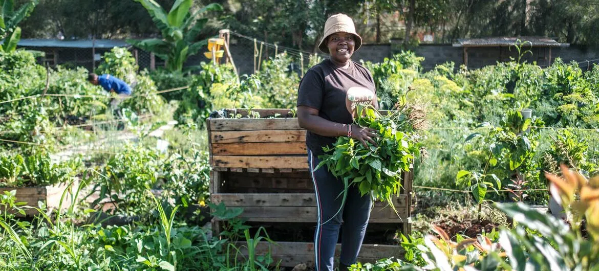 soil mapping in Kenya: A Kenyan farmer in a field under the soil mapping initiative